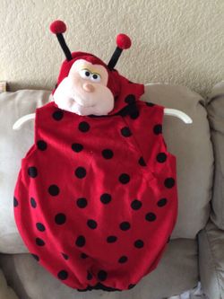 Costume lady bug