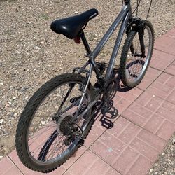 RoadMaster Granite Peak Bike