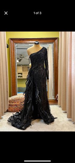 Black Dress Gown With Feathers 