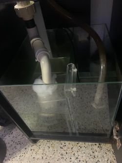 Vendo la pecera y los pese grati está grande los pese la carpa es grande