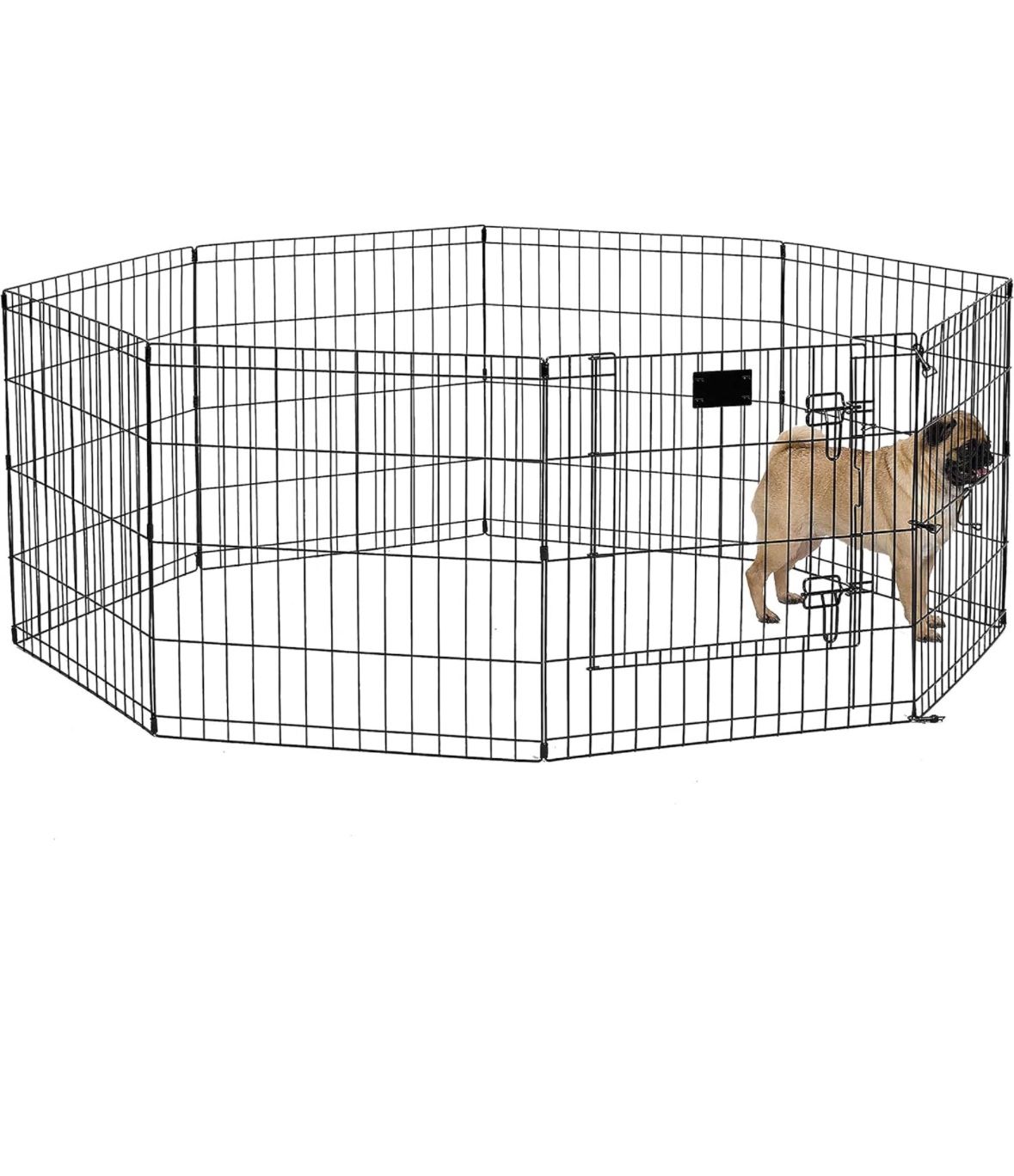 Dog play plen