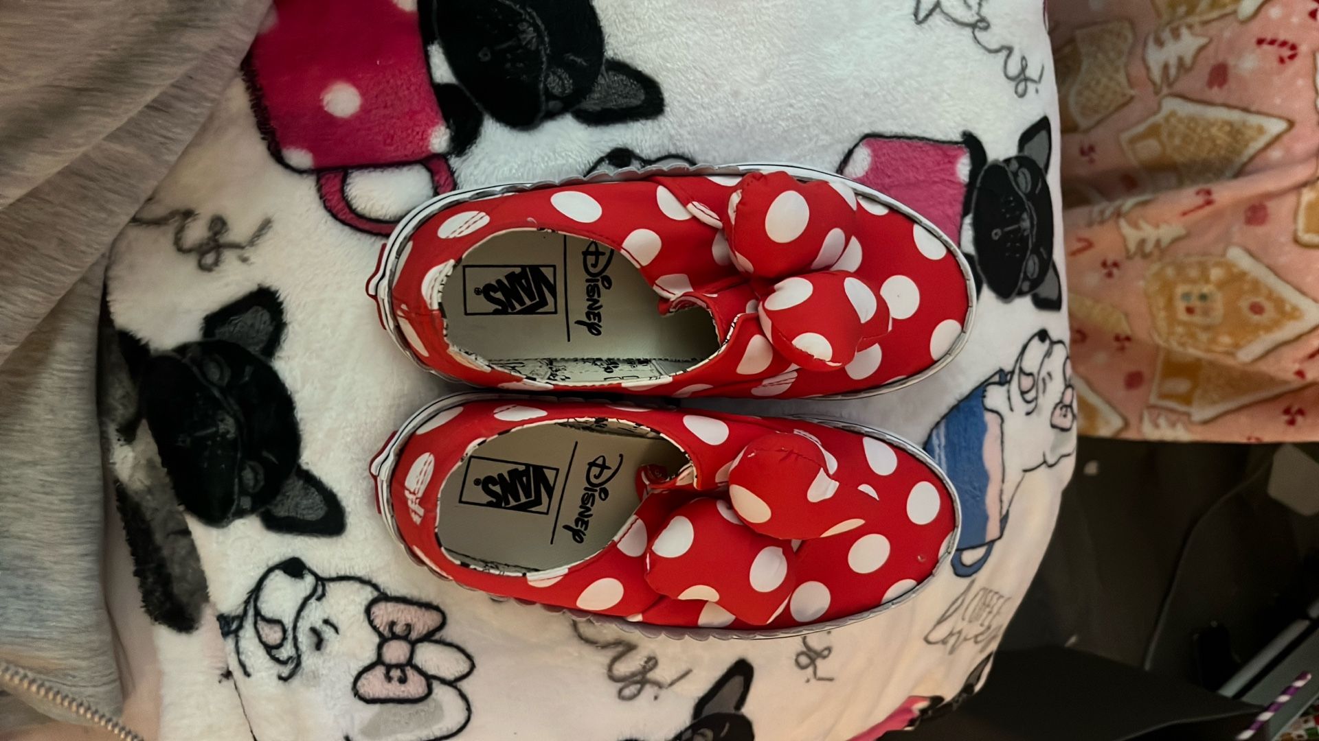 Mikey And Minnie Vans Shoes