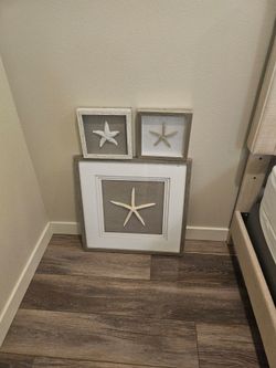 Framed starfish pictures