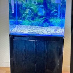 30 Gallon Kotobuki Radius Glass Frameless Aquarium 