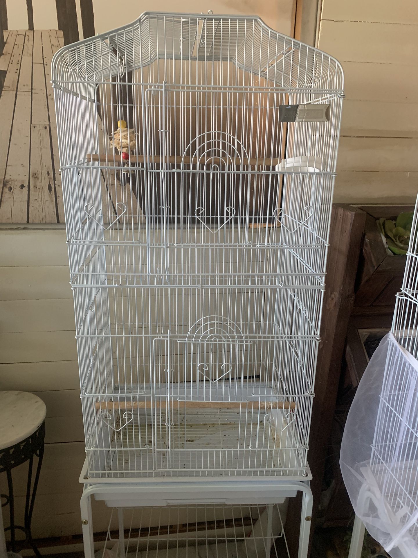 Bird Cage  Vivió Home