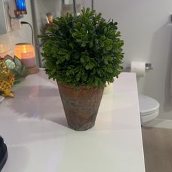 Faux Small Plant 