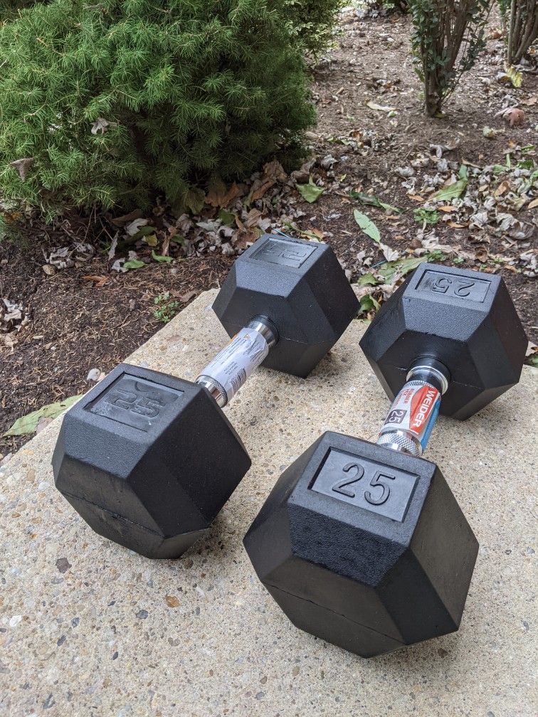 Dumbbell Set 25lb