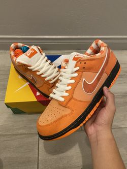 Nike Dunk DS Low Sb Orange Lobster