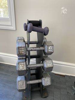 Dumbbells with Gold’s Gym Rack 2x25, 2x20, 2x15 150# Total