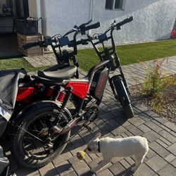 2000w Dual Motor Ebike / Bike Rack