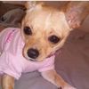 Roxy