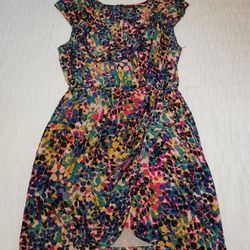 Dress Size 12P
