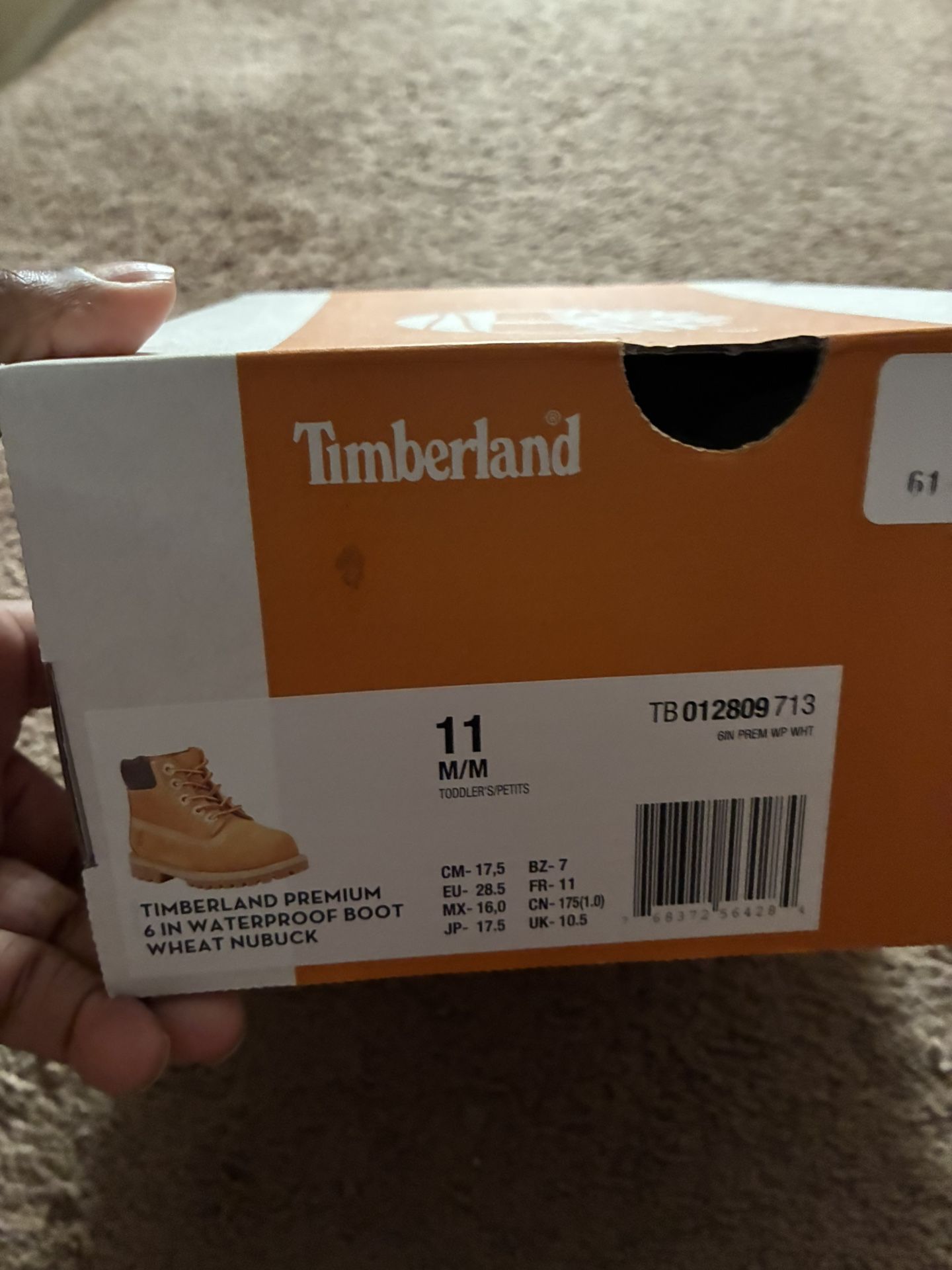 Children’s Timberland