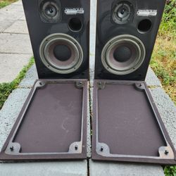 Bose Interaudio Sa 300 