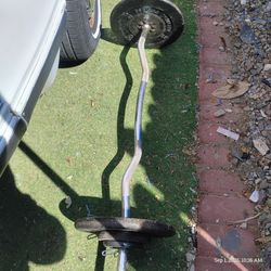 EZ Curl Bar with Weight Plates
