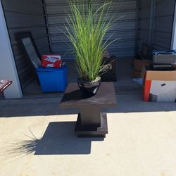 Middle Table With 🪴 