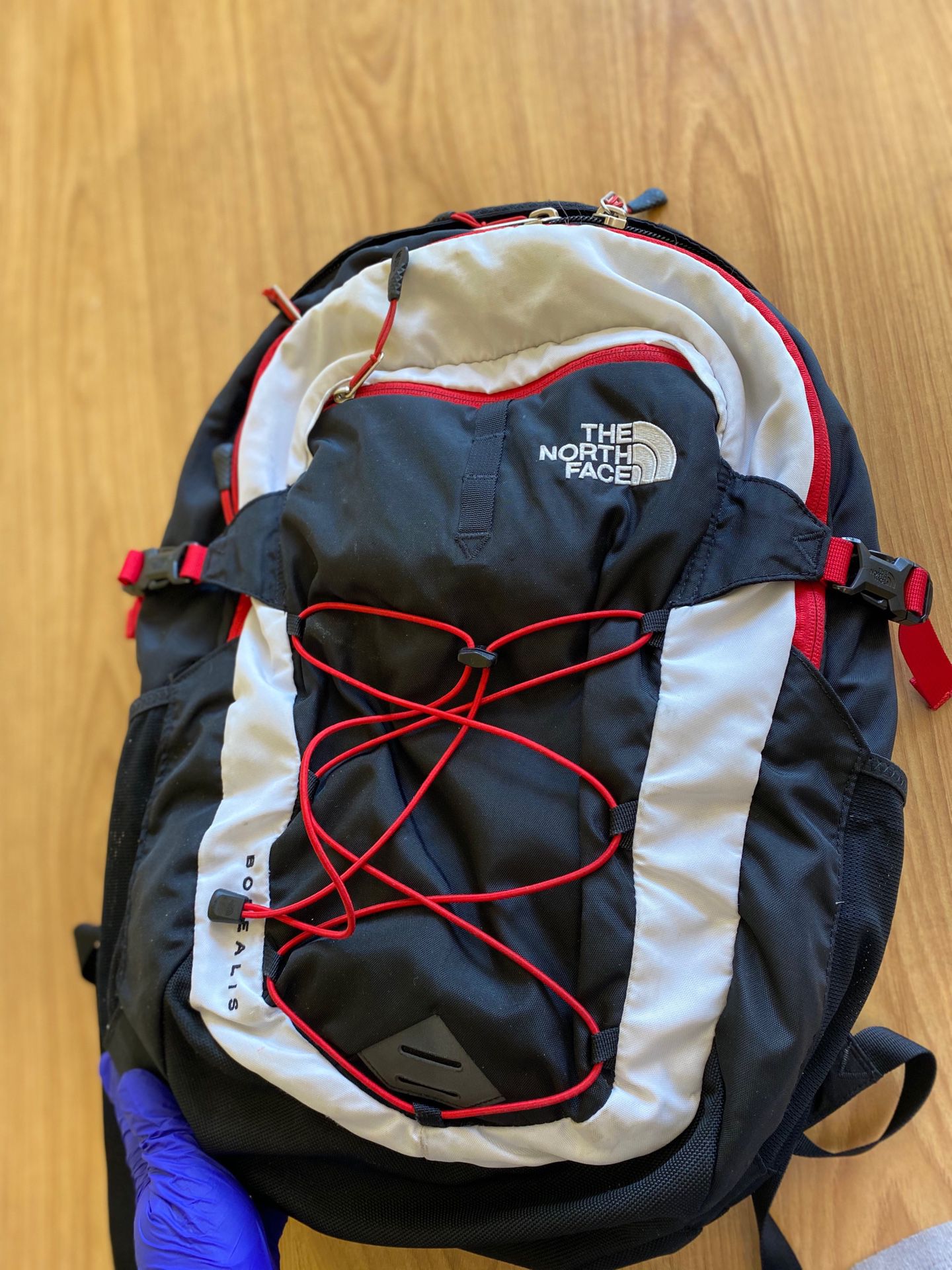 The north face limited edition backpack