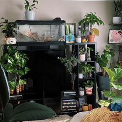 IKEA TV Storage Unit (LAPPLAND)