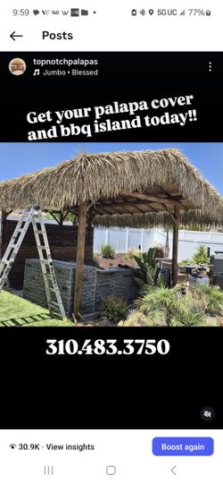 Palapa