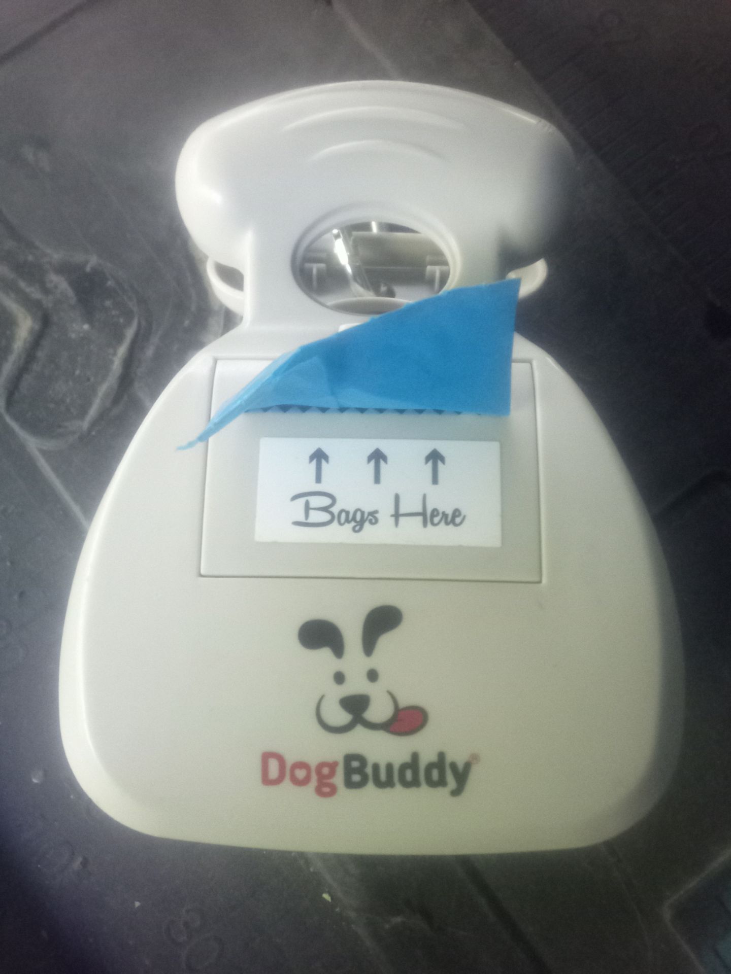 Dog buddy