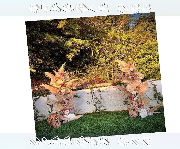 Tailored Wedding Backdrops Design Your Perfect Wedding Day woman TV