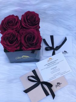 Preserved roses
