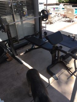 Bench/Squat rack w/ 480 lbs olympic weights & bar