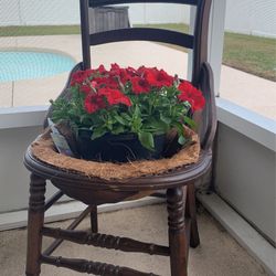 Antique Chair Plant Holder