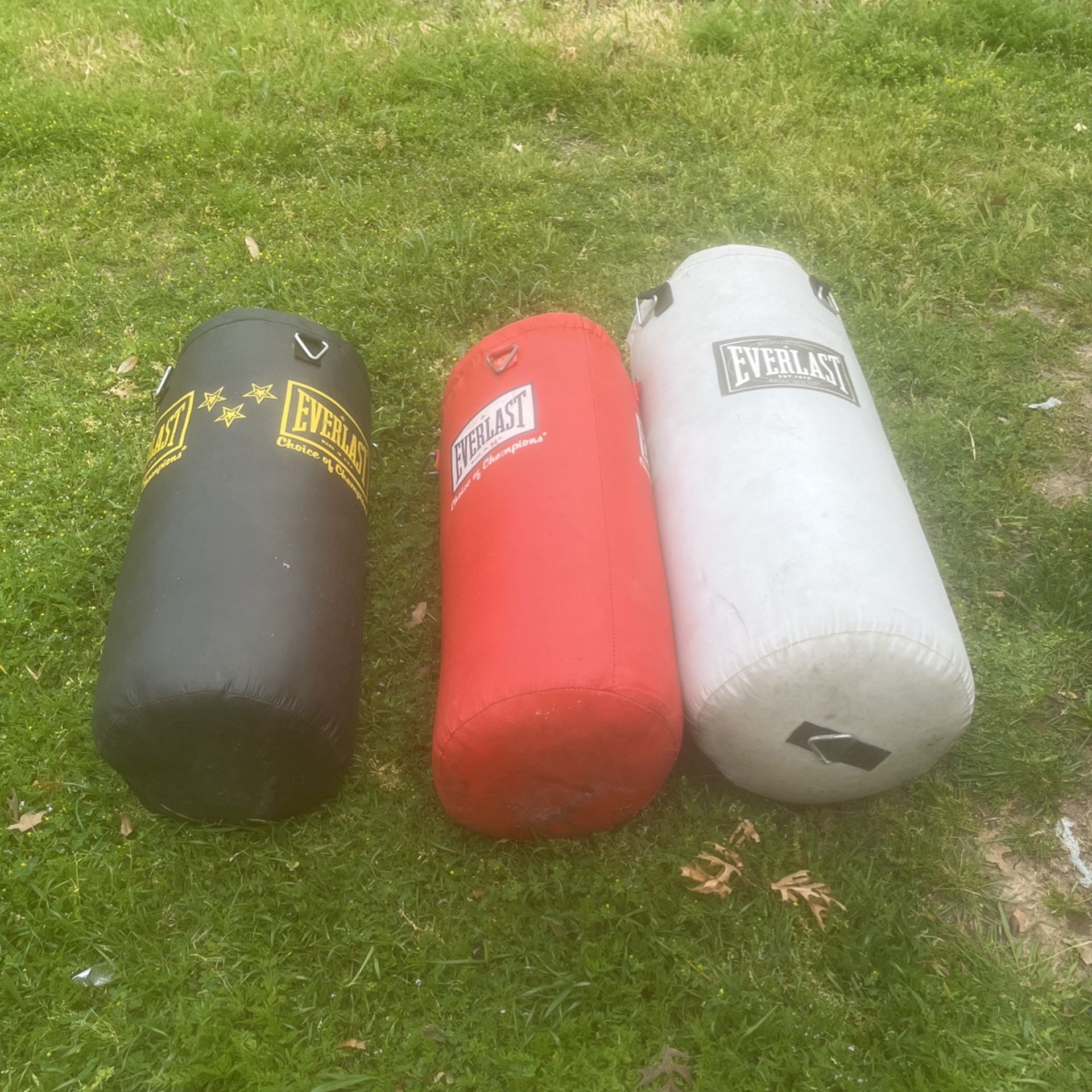 Everlast Punchin Bags