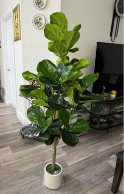 Pretty artificial plant 5 ft tall tree with planter ! Brand New ( Ask for price)