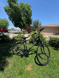 Schwinn men’s bike 80$$ (FREE DELIVERY)