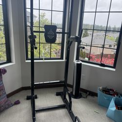 Pull Up Bar Dip Bar Gym