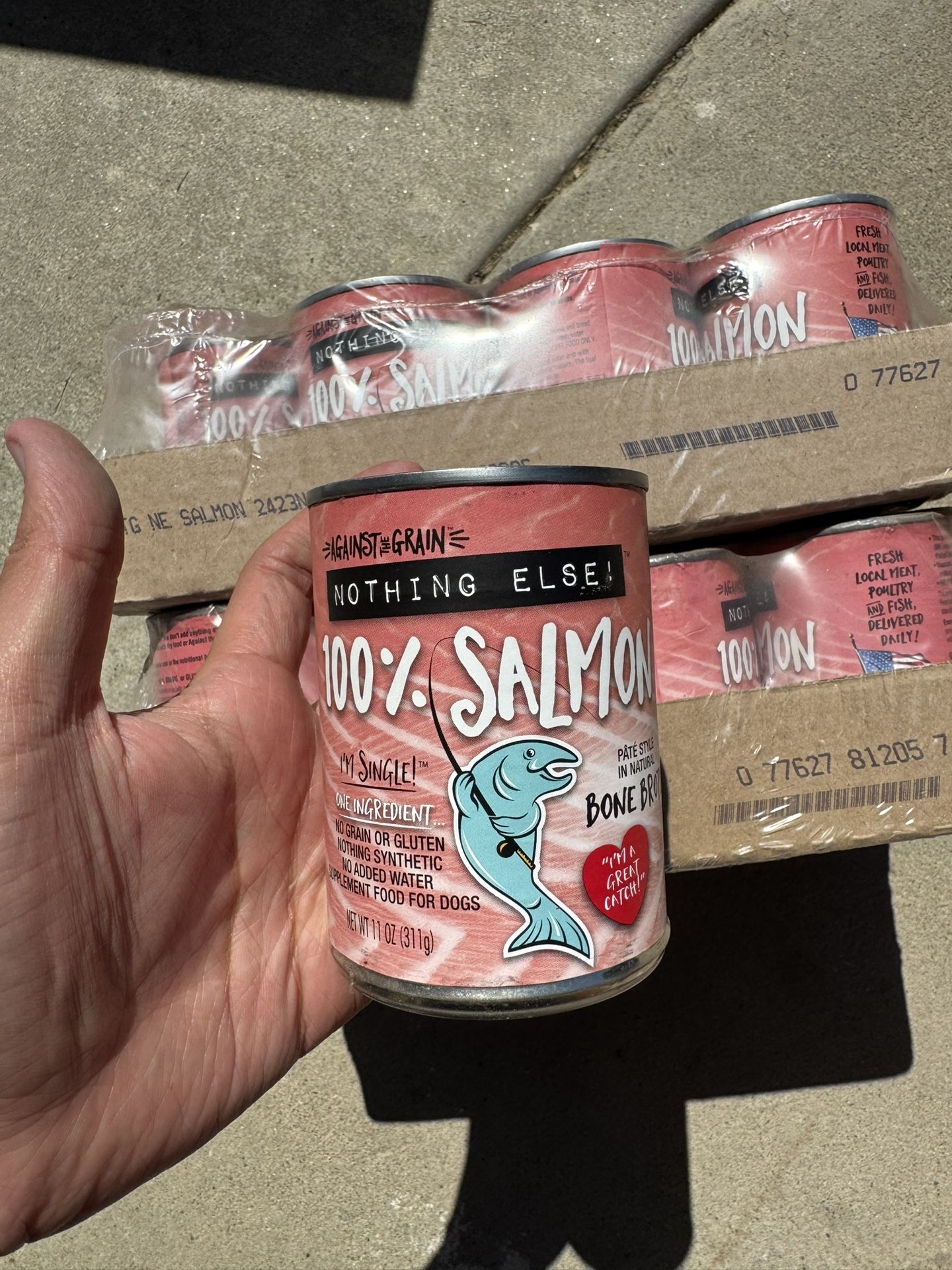 Salmon Wet Dog Food 12ct