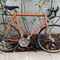 1973 Schwinn Paramount