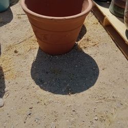 Clay Planters
