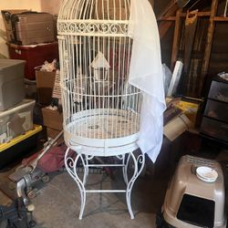 Bird Cage