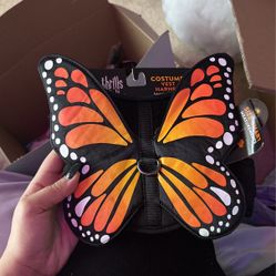 butterfly dog harness 