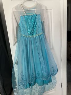 Fairy costume or Elsa