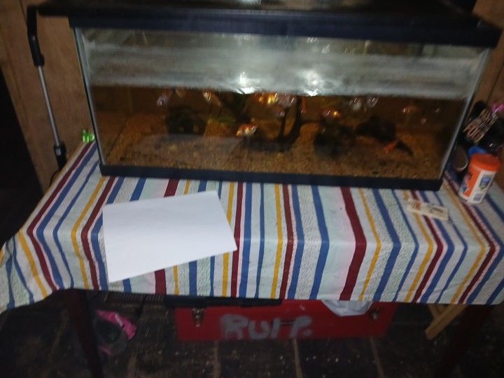 55 Gallon Fish Tank
