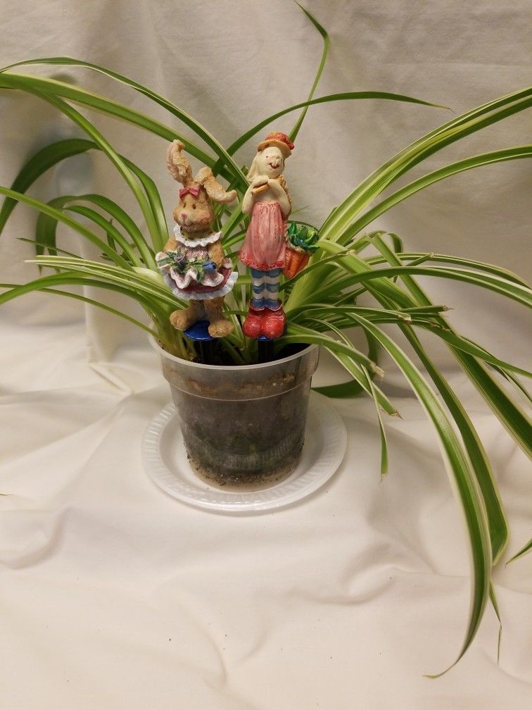 Plant Figurine Sitters /decor