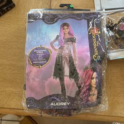 Descendants Disney Costume And Accessories