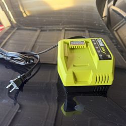 Ryobi 40v Rapid Charger 
