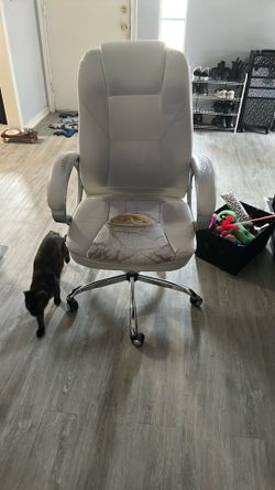 Free Chair (cat not included)