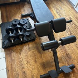 Workout Equipment 