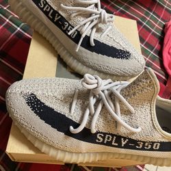 Yeezy Boost 350 Sz10 