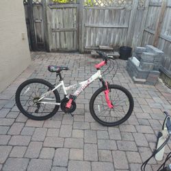 21 Speed Girls Bike