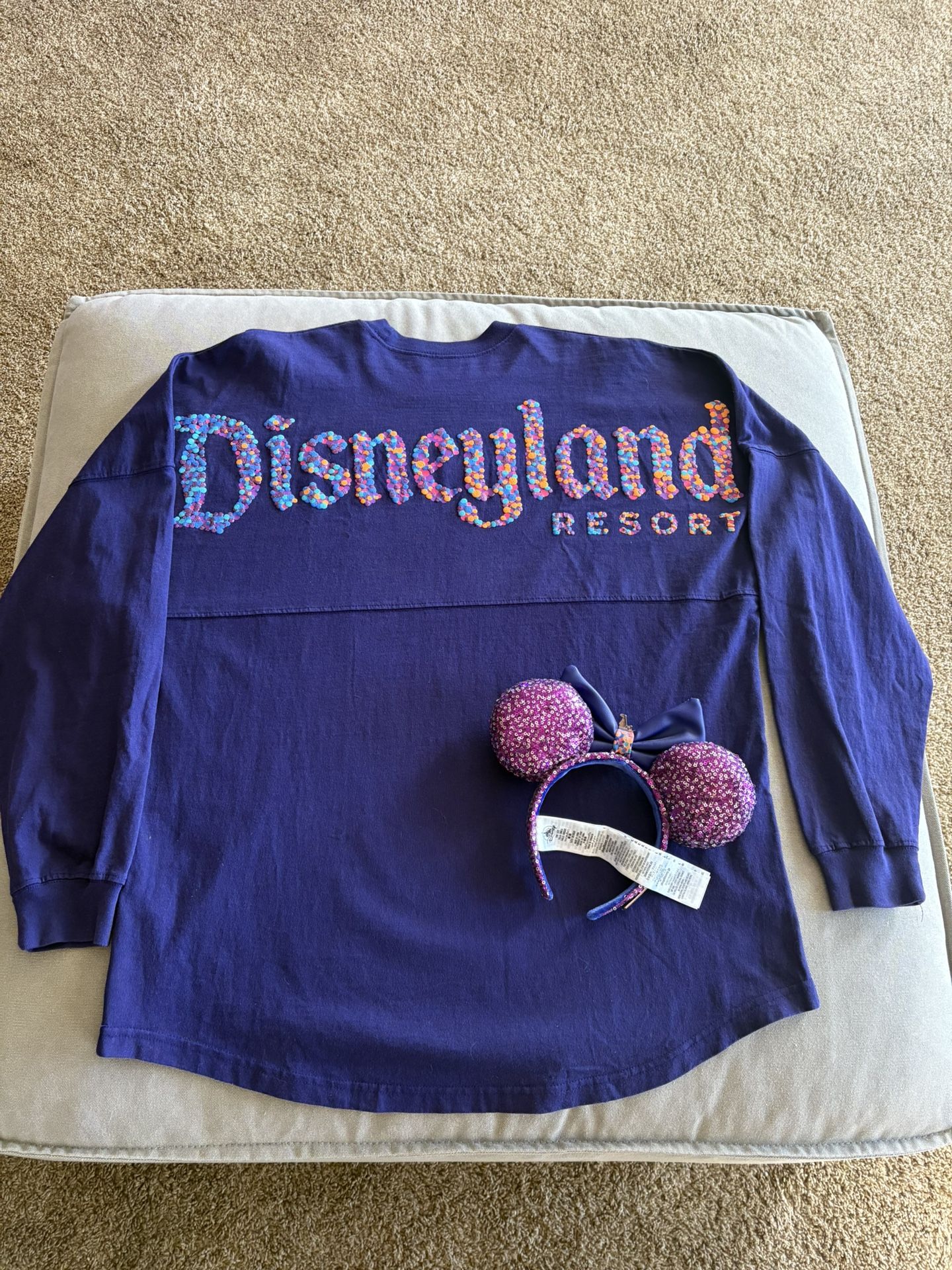 Disneyland spirit Jersey (L) With Ears