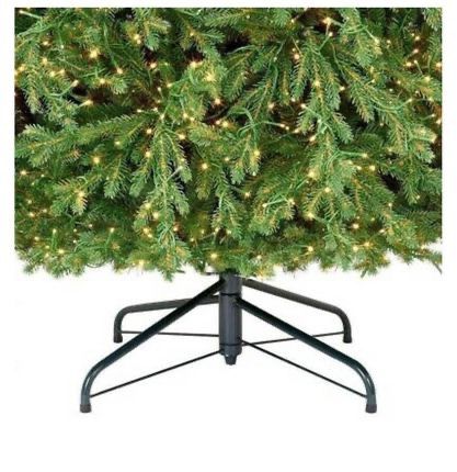 Mayfield 2024 balsam fir