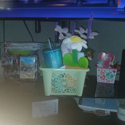 Hygiene And Pipe Cleaner Flowers