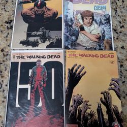The Walking Dead Comics Lot